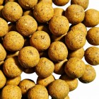 Boilesuri de nadit Profess